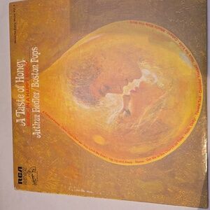 Vintage vinyl record